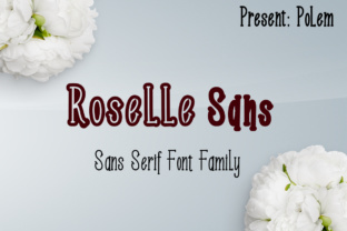Roselle Sans: A Sleek, Versatile Font for Everyday Use