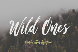 Wild Ones: A Playful Script Font for All